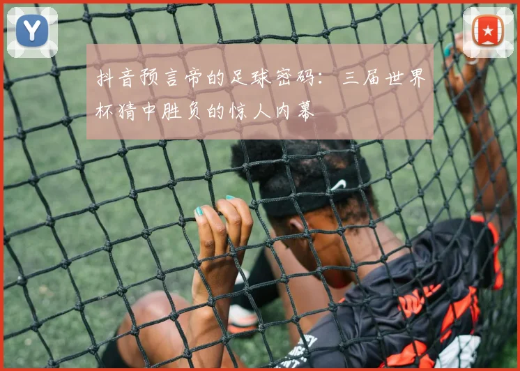 抖音预言帝的足球密码:三届世界杯猜中胜负的惊人内幕