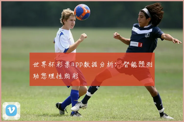 世界杯彩票app数据分析:智能预测助您理性购彩