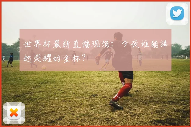 世界杯最新直播现场:今夜谁能捧起荣耀的金杯?