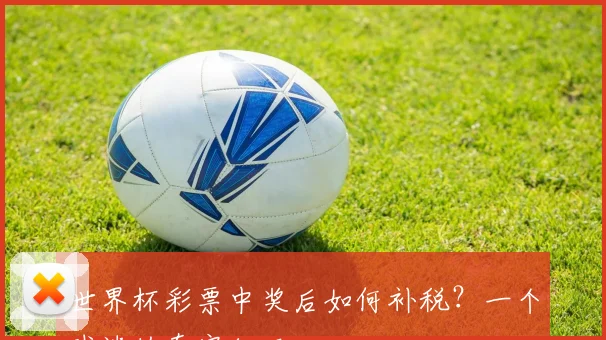 世界杯彩票中奖后如何补税?一个球迷的真实经历